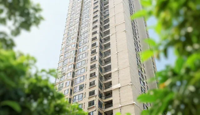 客户反馈检查要点分析与批量生产优化策略